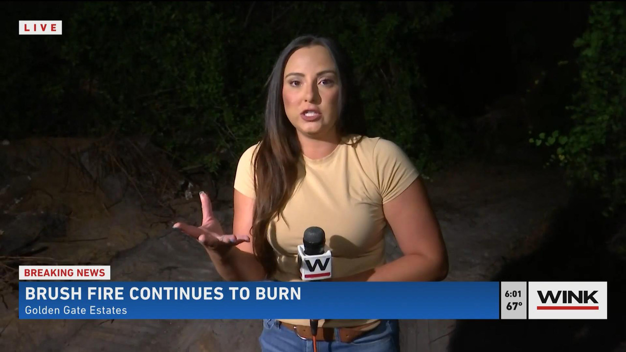 05.23 - 11.00.00 - WINK News @ 6 00AM Sunday. Local news, sports and ....ts_snapshot_01.19_[2021.05.