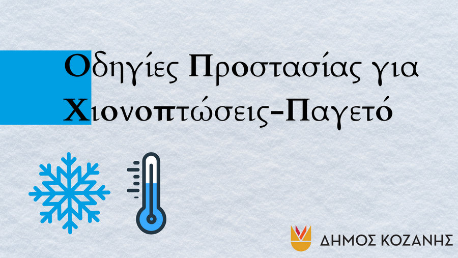 κοζάνη, ειδήσεις, νέα, Πτολεμαΐδα 
