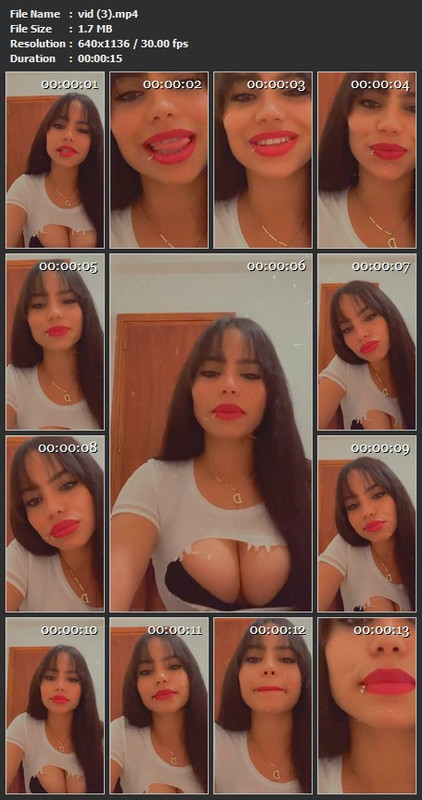 vid (3).mp4