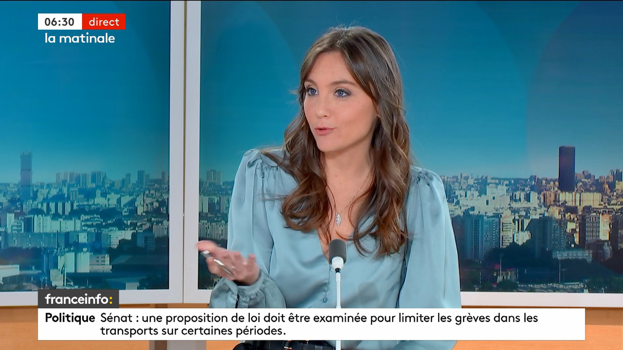 La matinale (Franceinfo)_2024_04_09_05_24_99.ts_snapshot_06.43.085