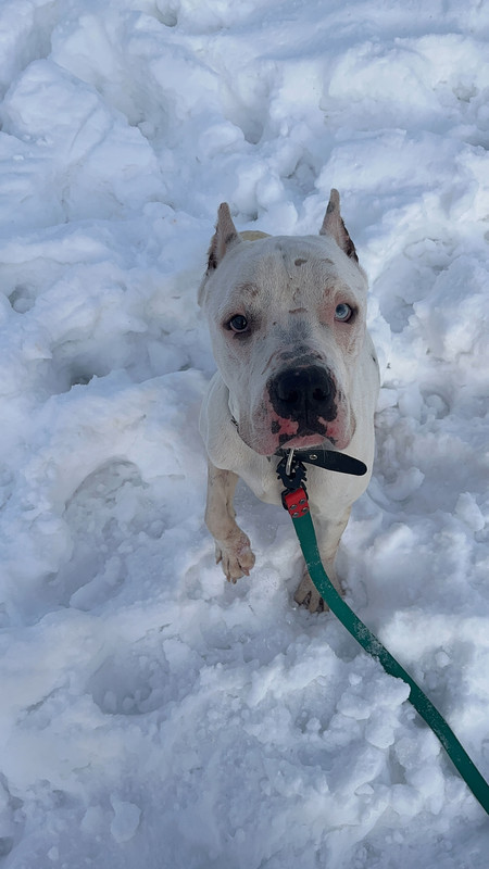 D9D3A448-6753-4D44-B23B-EE9986C1A36D