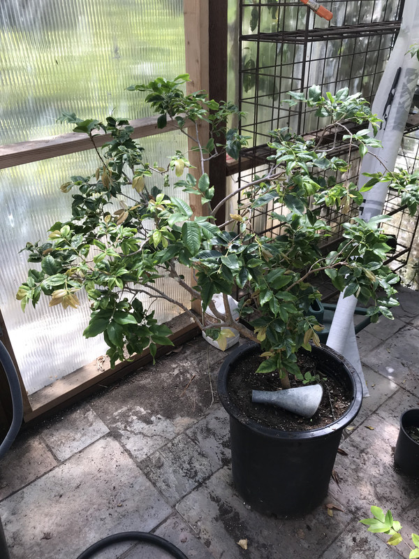 A146F9F5-407F-4038-98AF-1A728D383F96