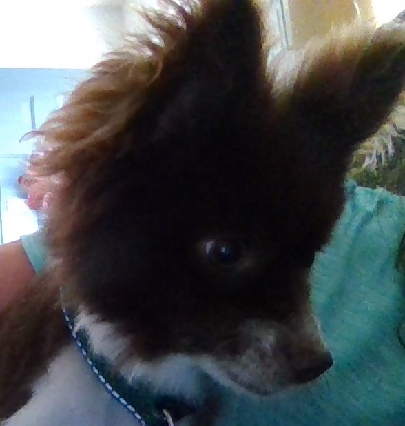 WIN_20230907_16_23_39_Pro (2)