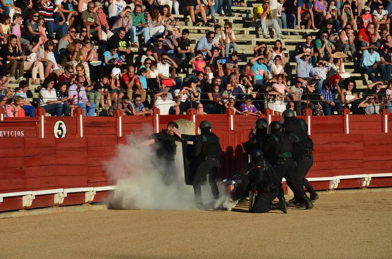 Exhibición Guardia Civil-30-9-2016 - Toledo y sus pueblos-1996/2026 (53)