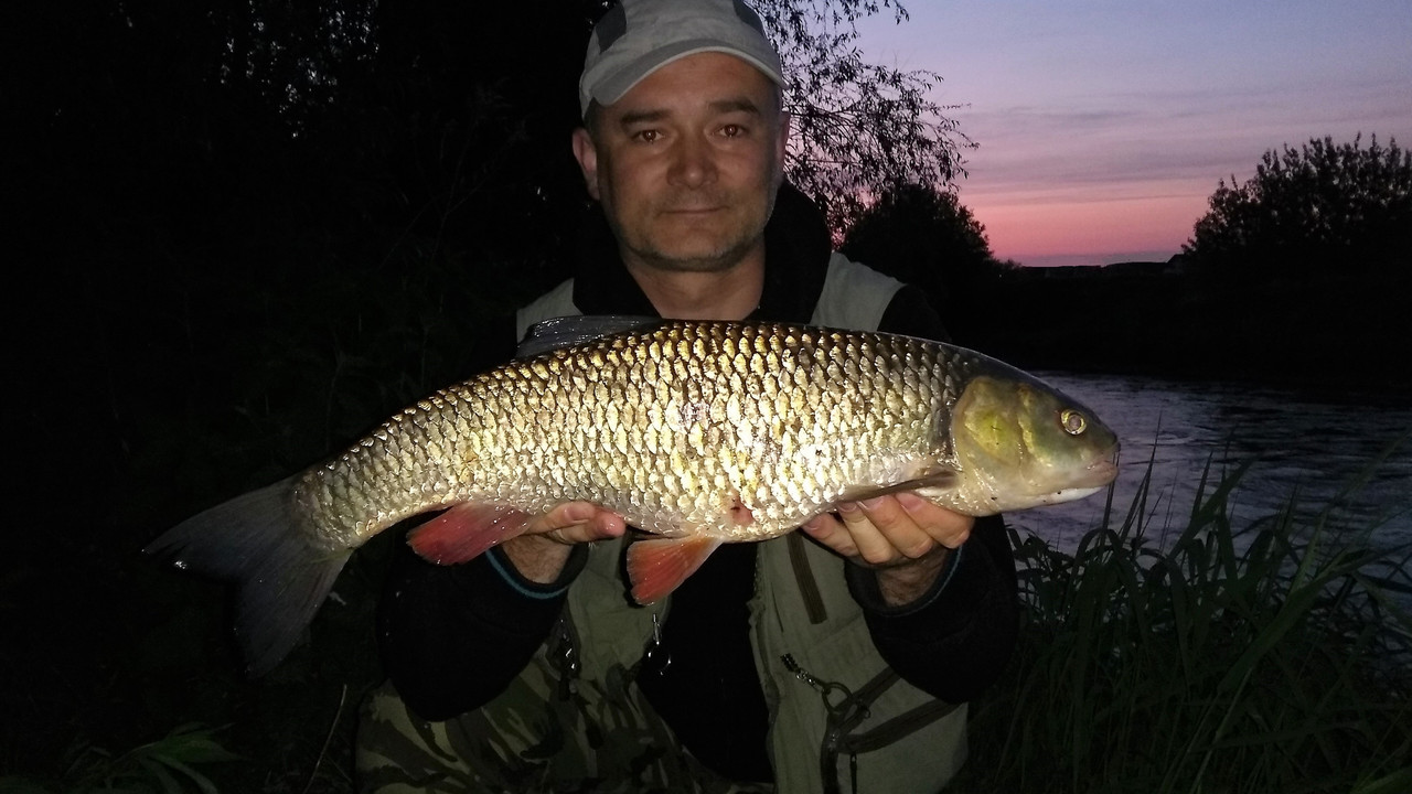 IMG_20180504_204634094 1