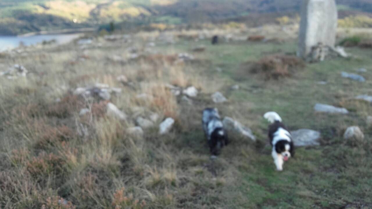 D2230F45-BA4F-40FF-AD48-CA2950356291