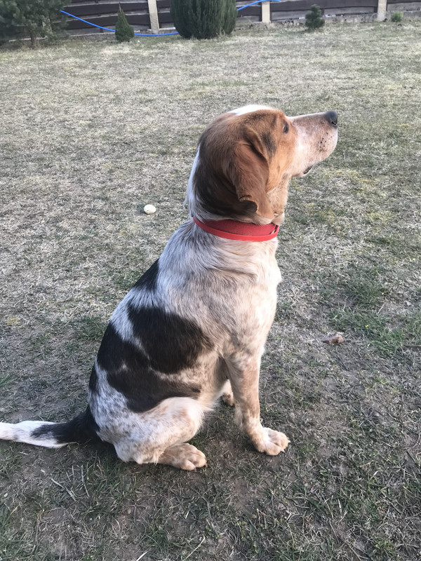 C408F471-694A-406D-B7AC-A1832013CCDF