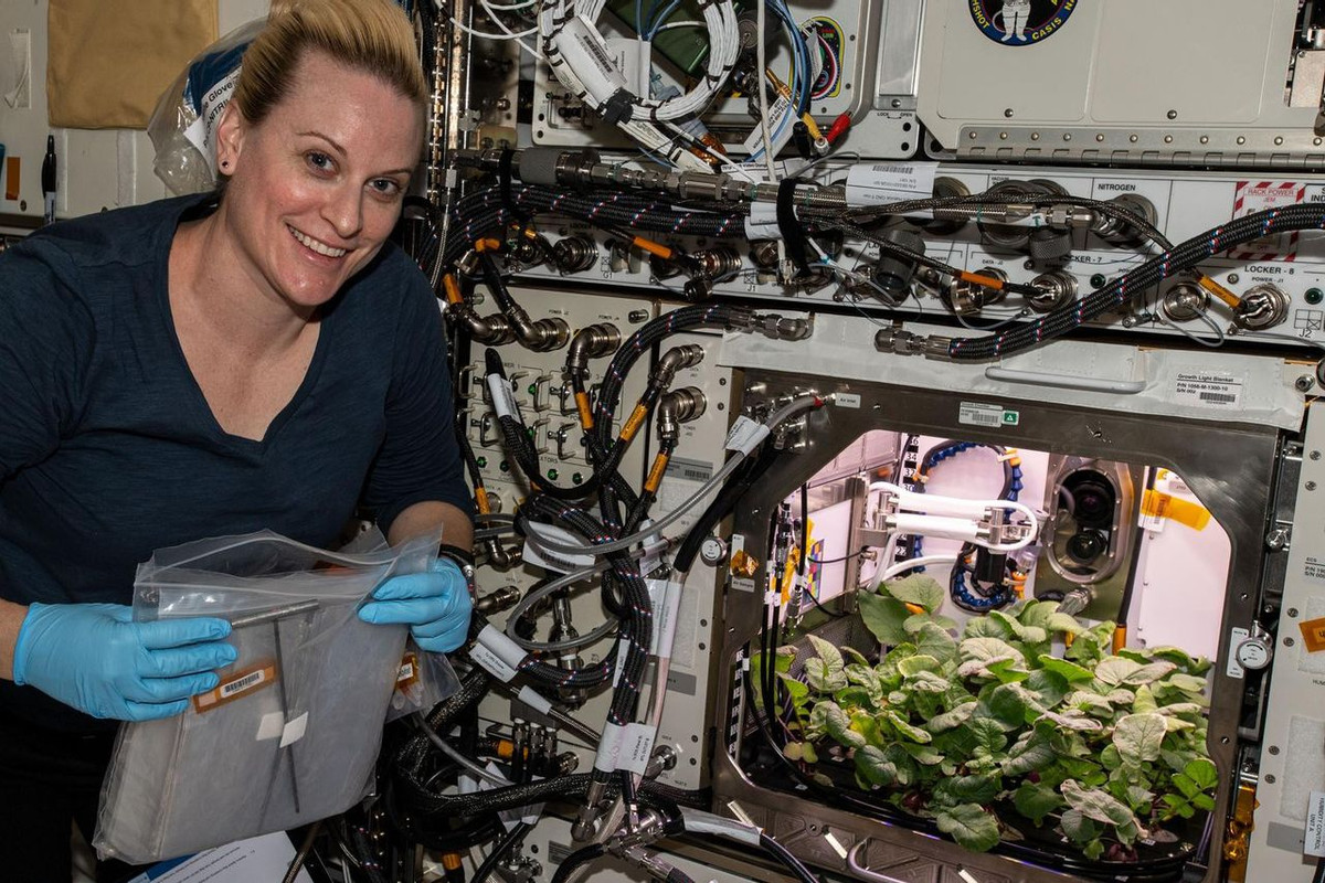 Descubren “vida extraterrestre” dentro de la Estación Espacial Internacional