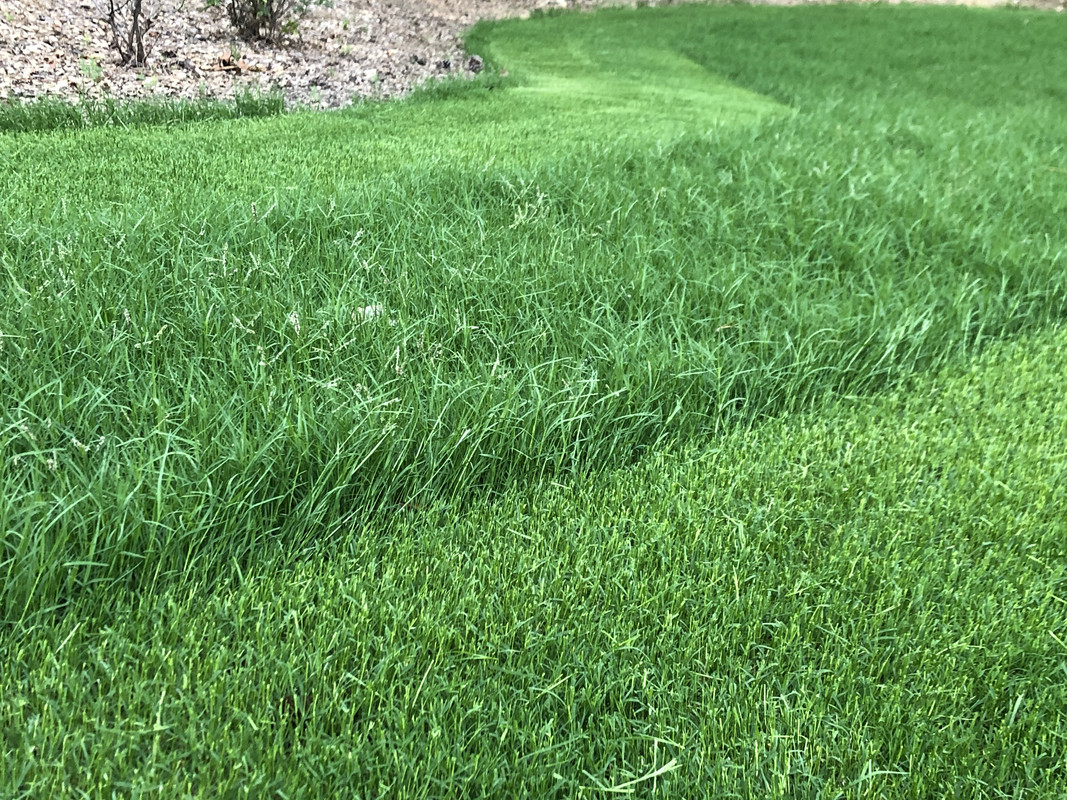 680E18DD-AFDC-4838-BDE9-D9FD6C2D8579