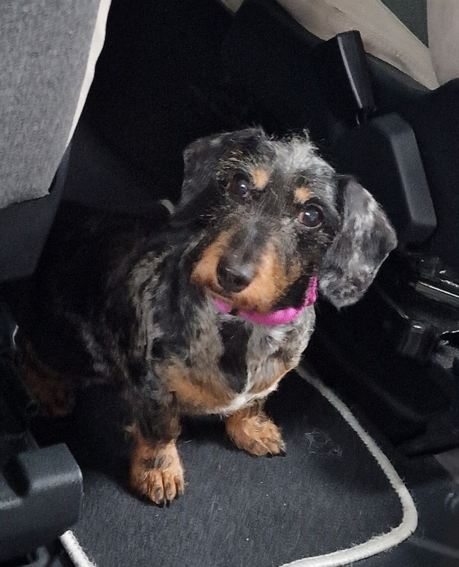 [Image: IMG-20241114-185153.jpg]