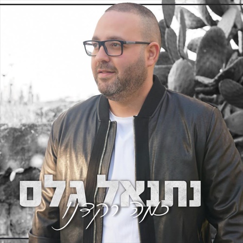 תמונה
