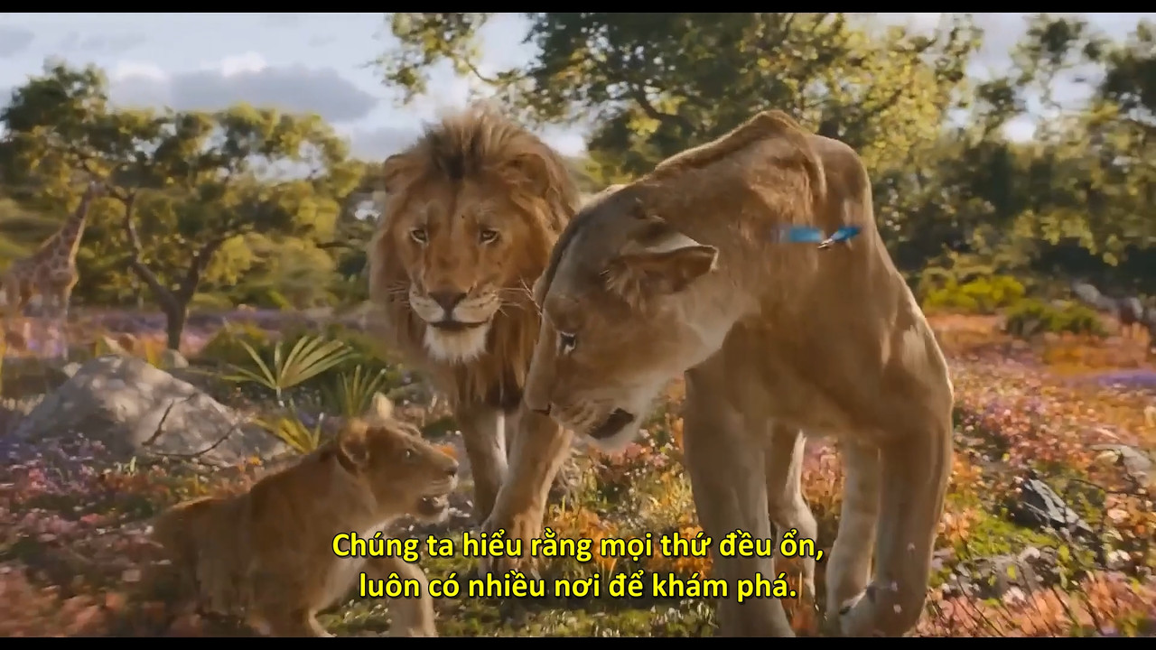 (Vietsub) Mufasa The Lion King 2024 1080p WEB x264 PCM 2.0.mkv_snapshot_00.11.12.457