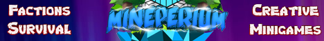 server banner