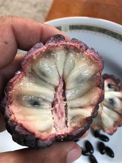 20770238_10209029810093697_47751581198337623_n