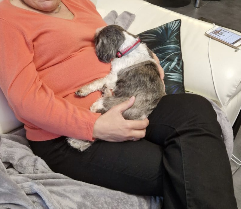 [Image: 434-DFEB4-824-A-4684-B4-A3-22-AA9-A0-E666-D.jpg]