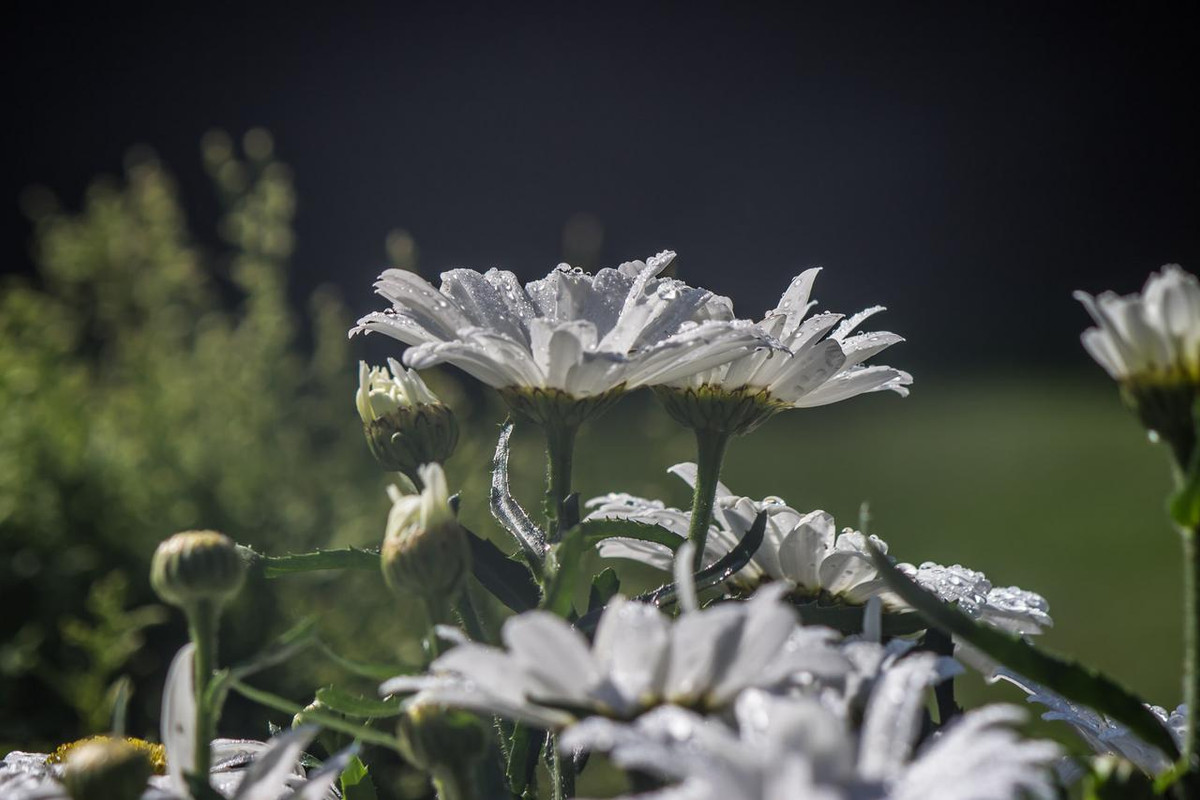 ?азное 2