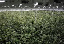 2393-C603-3-B47-41-FB-A911-C5494-B448-FC8-708-000001-E59-A12-A7-EA