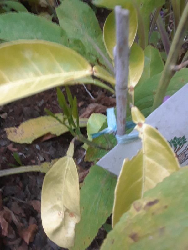 20190518_202925