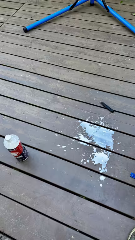 https://i.postimg.cc/g0YbWWtp/IMG-9113.avif