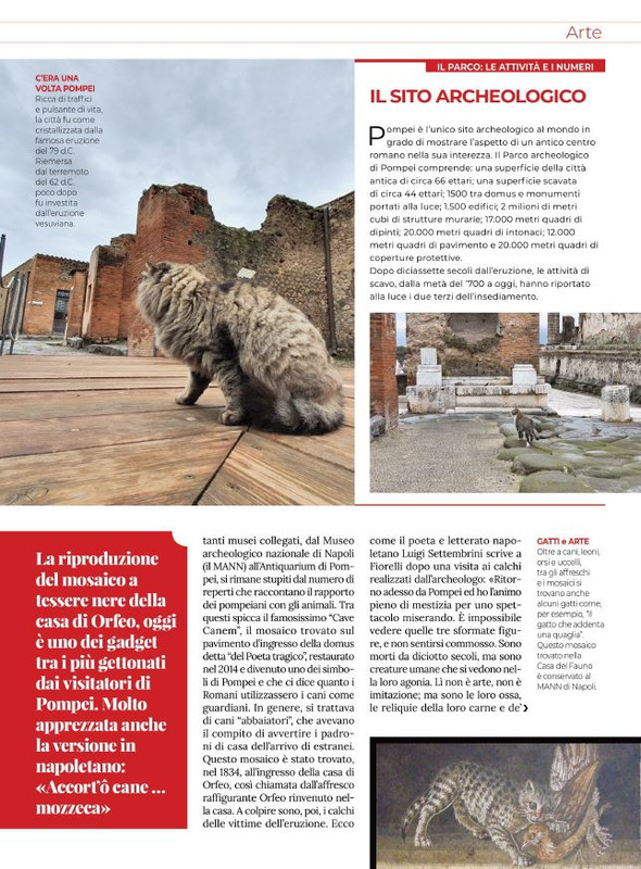 Ga Ma Ago-Set  2021 (6)