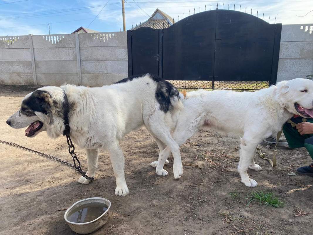 FCAB0689-0CE9-46C4-8658-D9A22545AE9A