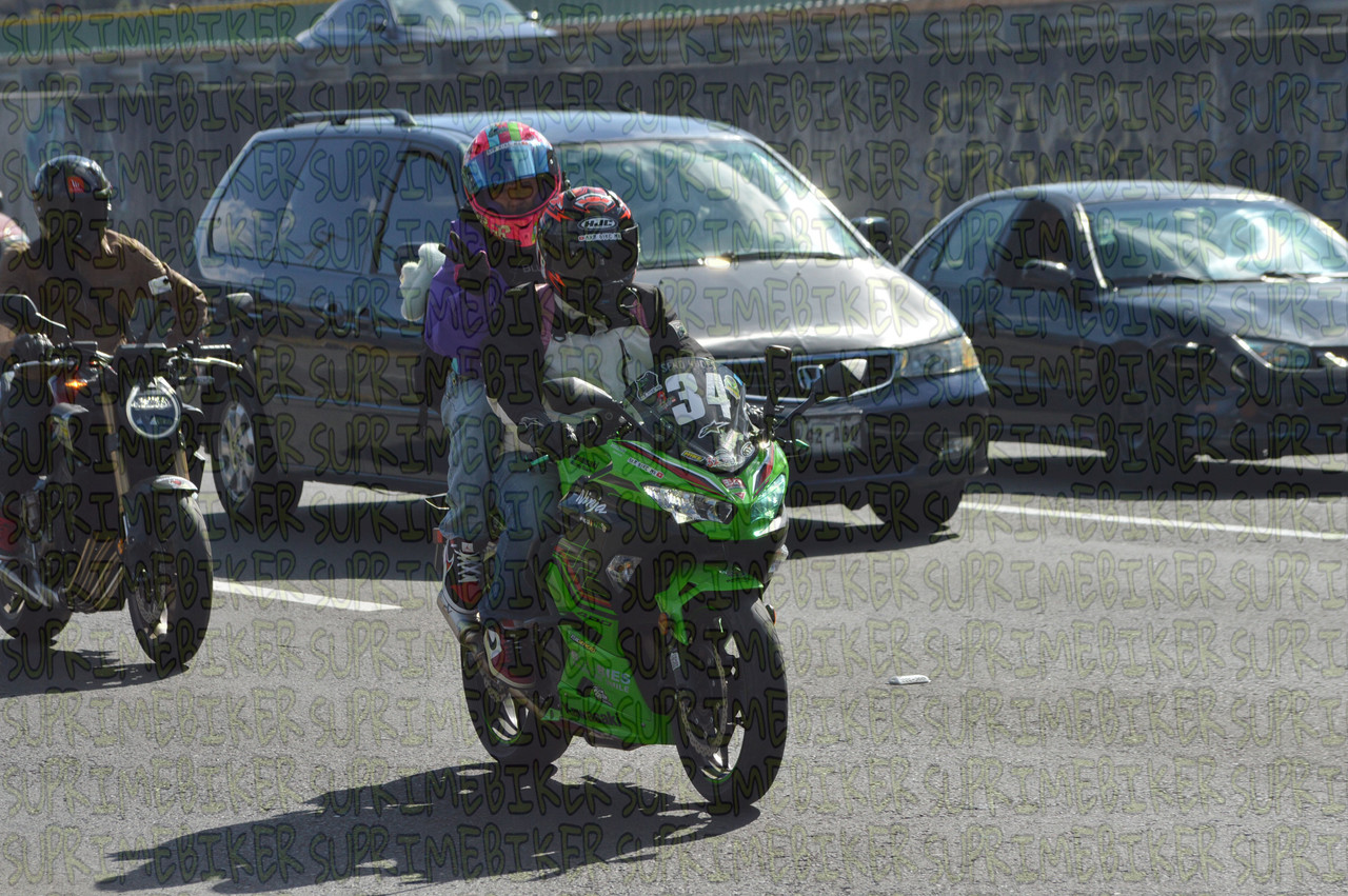 DSC 0338