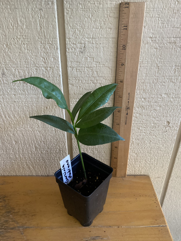 99FDA710-9536-44E1-AD36-5B5F5C533A87