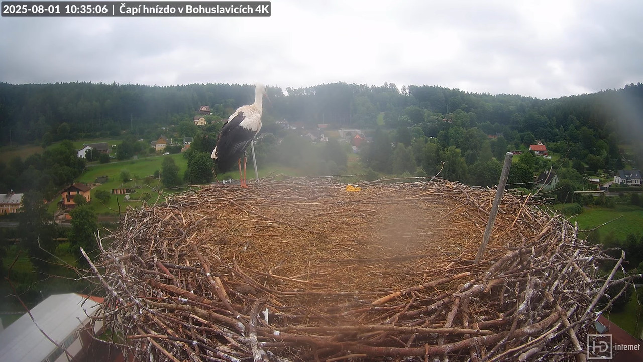 Tiešraide no KARA uzņēmuma stārķu skursteņa Bohuslavicē netālu no Trutnovas 8-53-30 screenshot