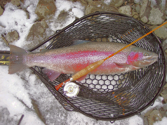 FB12E5DB-C314-490D-AE13-6D5ED701C677