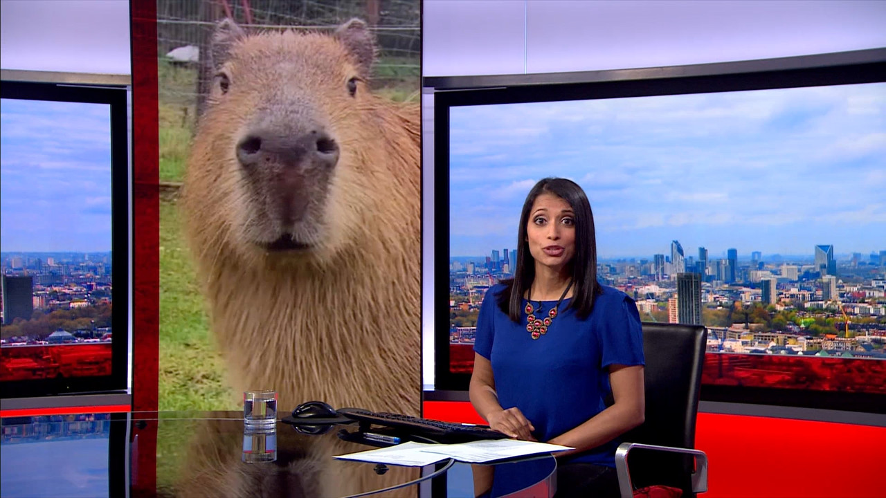 BBC London News_20230410_18501900.ts_snapshot_09.06.501