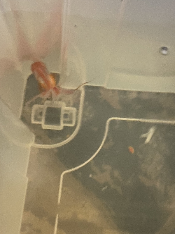 34A54E04-93F5-41F7-8CBF-2B3C8B37984D