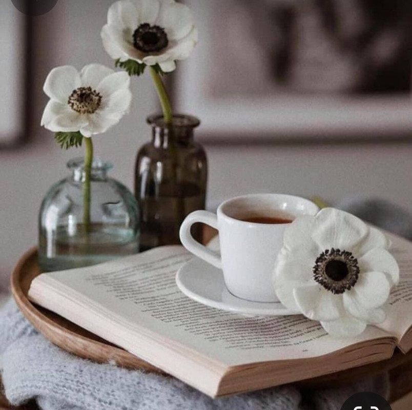 Screenshot_20240508_215410_Pinterest