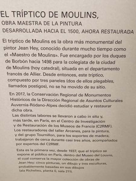 París: Exposiciones de Renoir, Matisse, Rousseau, Miguel Ángel y Rodín etc etc - Blogs de Francia - Museo del Louvre: Miguel Ángel, Rodin y Martín Schongauer (143)