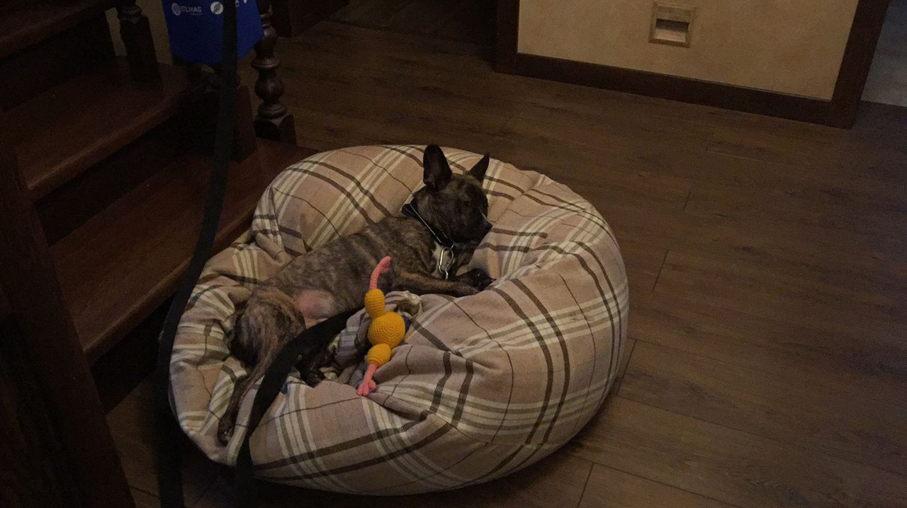 6CBEFF81-531C-4378-BC5C-F7DC3C00185B