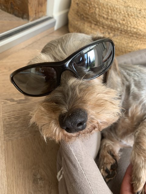 [Image: IMG-6828.jpg]