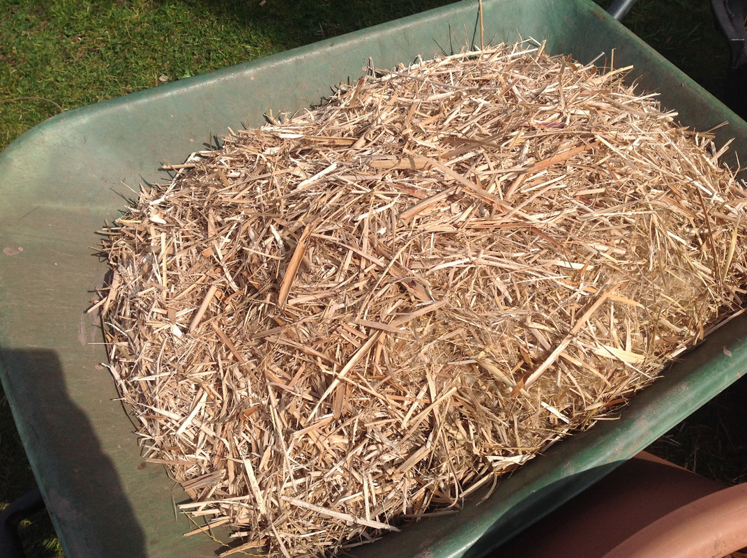 Häcksel Material 1.04.16 (10)