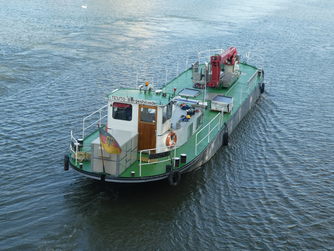 2019.10.30c Teuto (1280x960)