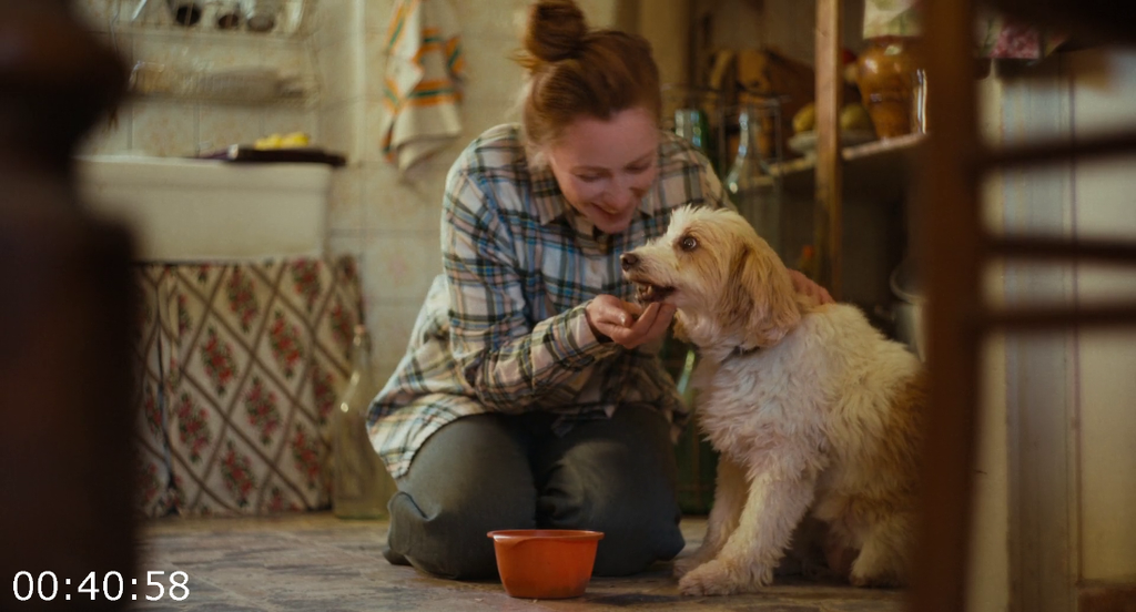 [Kép: Trifole-2024-1080p-Blu-Ray-x264-AAC5-1.png]