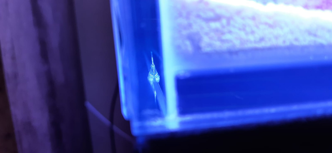 WhatsApp Image 2022-06-22 at 19.24.31 (1)