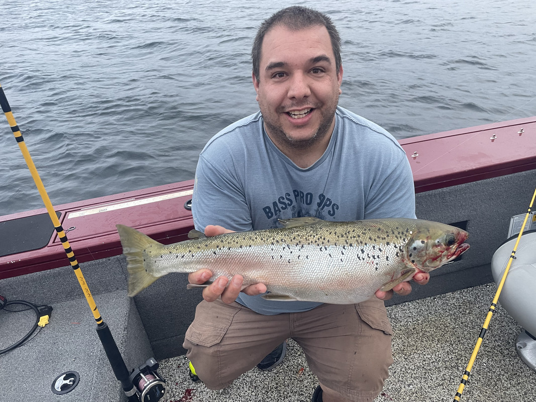 FC772295-883E-4197-8D22-0E1E74497362