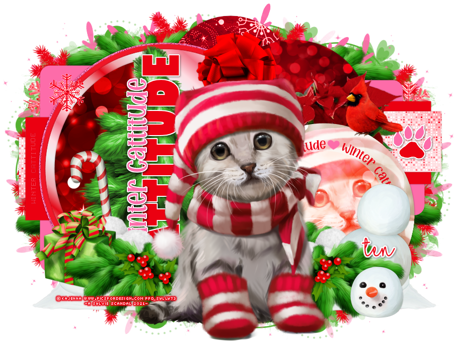 Ten-Winter-Cattitude-bysylvie