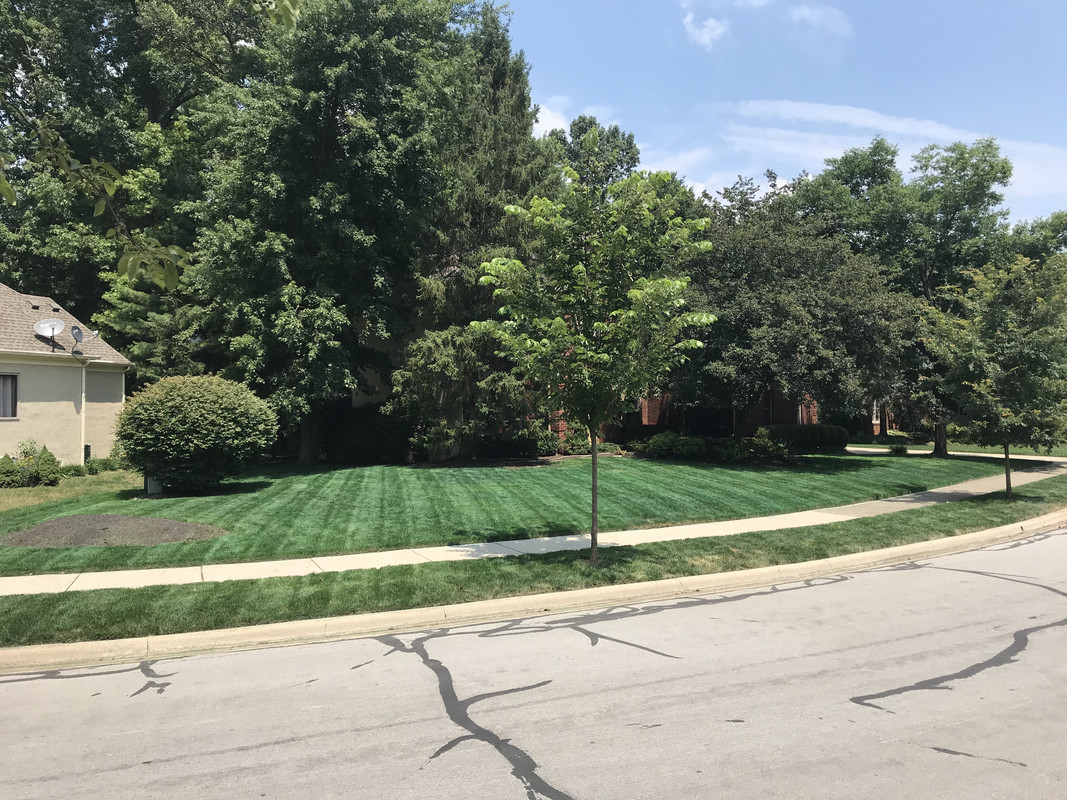 616F529E-D837-40BA-AEF0-4C0B02F3DE50