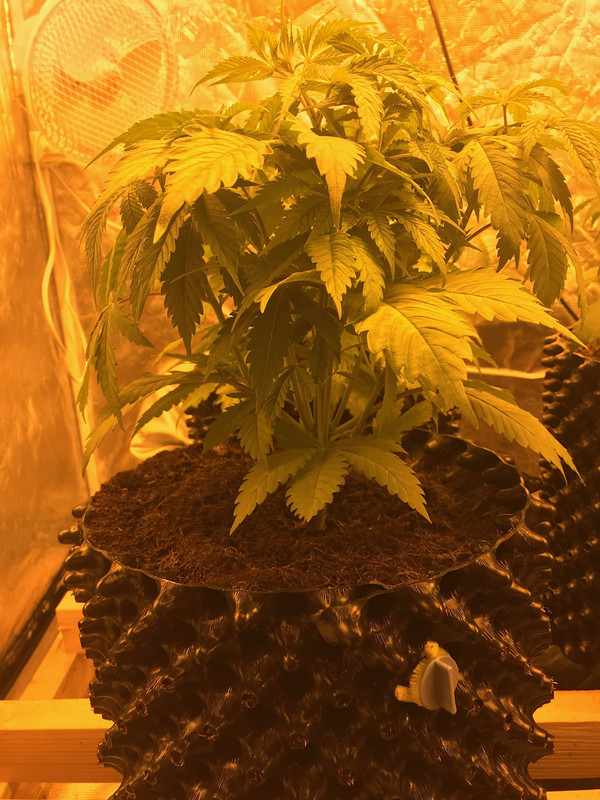 F99D4ECB-E70F-42BD-A1EF-5FA7D638AA70