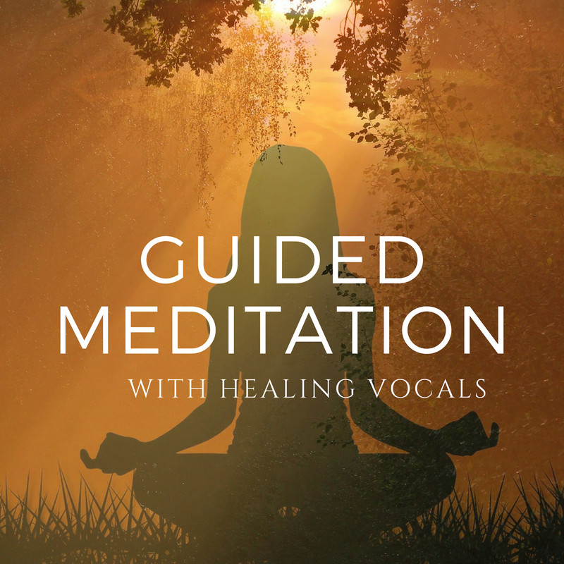 Basilio Marchesani  -  Guided Meditation With Healing Vocals (2019) .mp3  - 320 Kbps