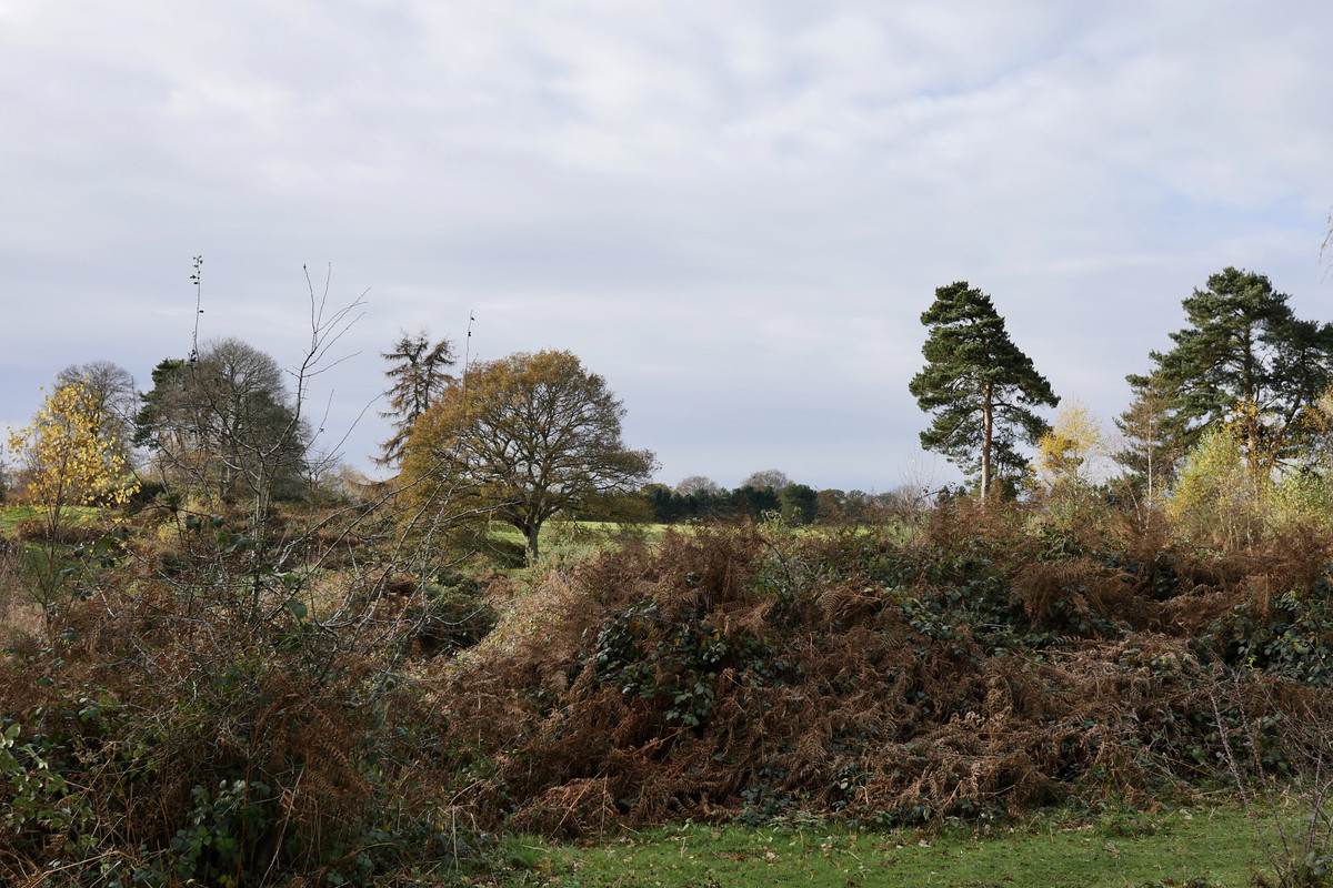 4DD970EB-1925-476F-AC54-E012D010F3A2