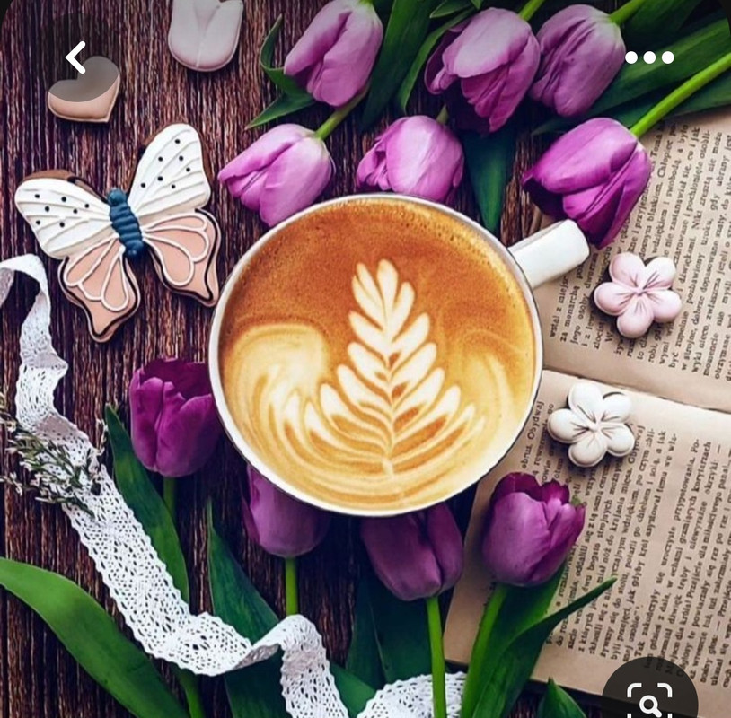 Screenshot_20230712_012635_Pinterest