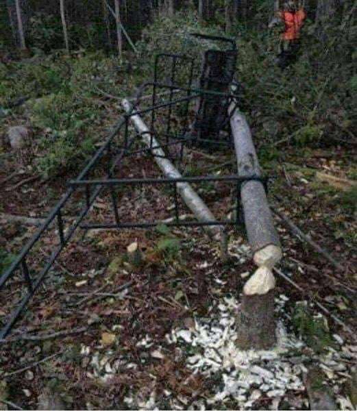 Picdump-123-11.jpg