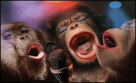 singes qui chante (1)