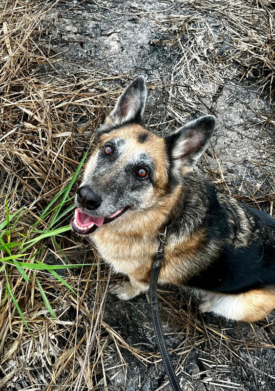 Imagem WhatsApp 2024-07-23 às 06.59.49_a0658087