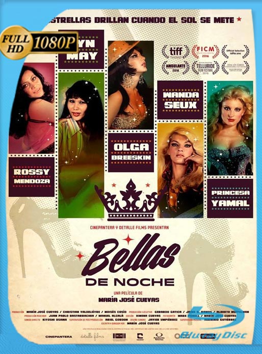 Bellas De Noche (2016) WEB-DL HD 1080p Latino [GoogleDrive]